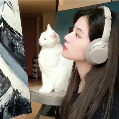 房子与狗